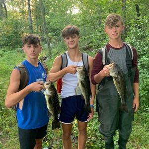 Meet your Posher, Bobby